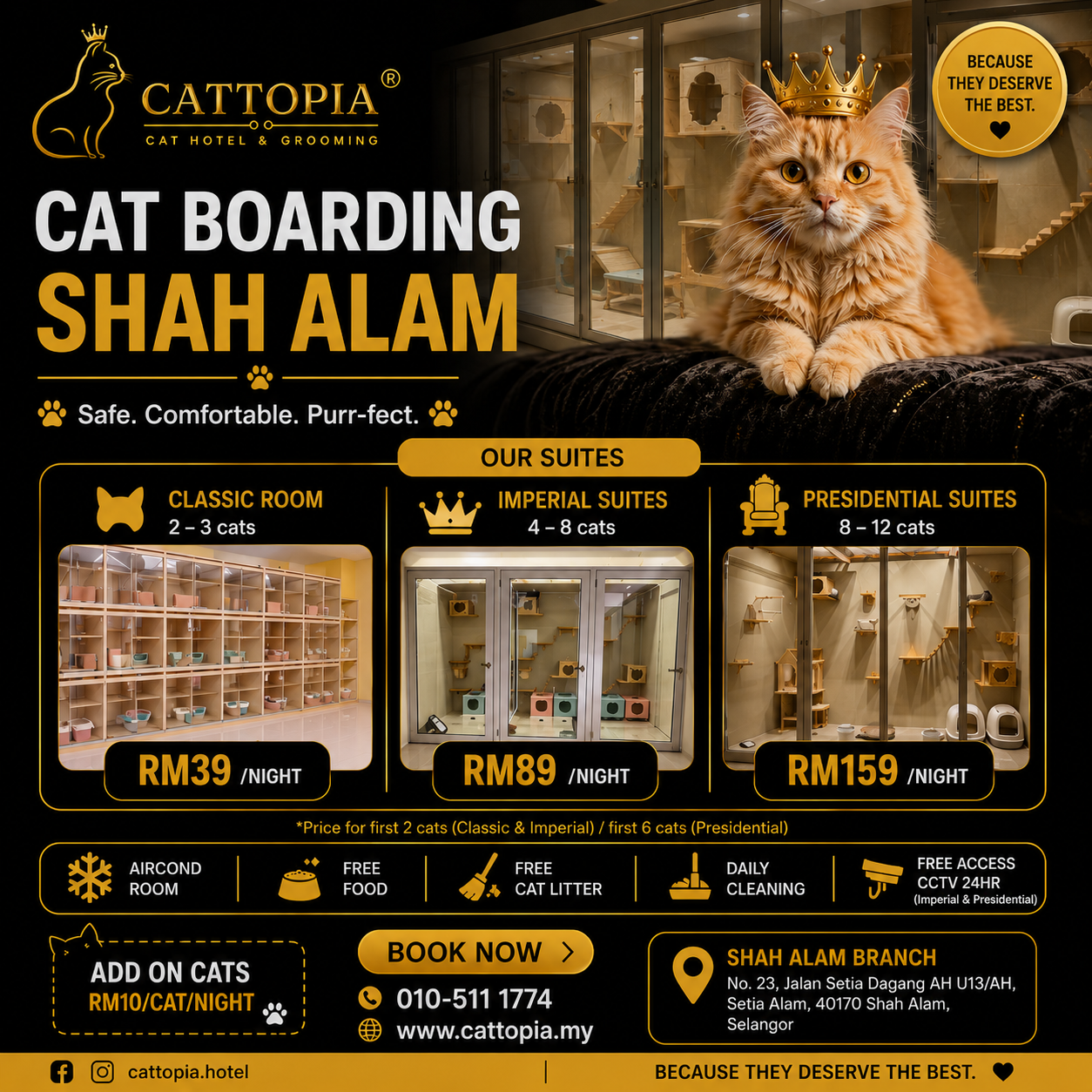 Hotel Kucing Shah Alam | Boarding & Grooming Aircond – Cattopia
